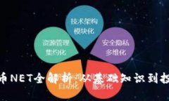 : 虚拟币NET全解析：从基础知识到投资策略