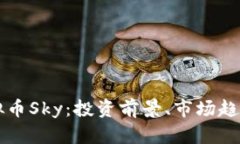 全面解析虚拟币Sky：投资前景、市场趋势与发展