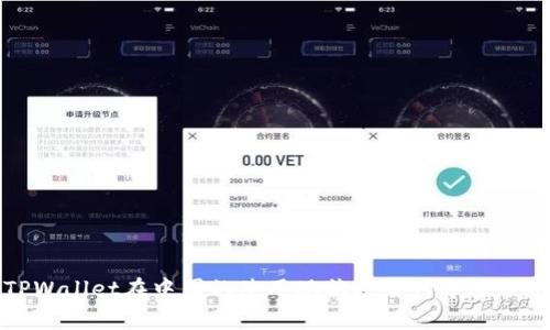 TPWallet在中国的使用现状及替代方案分析