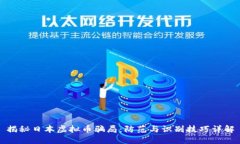 揭秘日本虚拟币骗局：防范与识别技巧详解