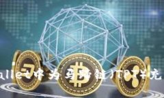 如何在TPWallet中为马蹄链（TPT）充值：详细指南