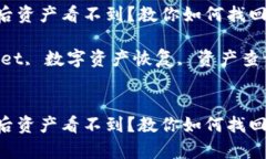 恢复TPWallet后资产看不到？教你如何找回你的数字