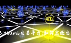 深入了解Bithumb交易平台：如何高效交易虚拟币？