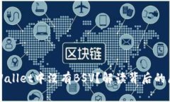 为什么TPWallet中没有BSV？解读背后的原因与影响