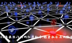 2023年最热门的网红虚拟币：投资机会与风险分析
