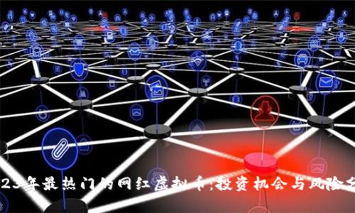 2023年最热门的网红虚拟币：投资机会与风险分析