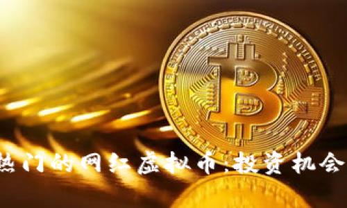 2023年最热门的网红虚拟币：投资机会与风险分析
