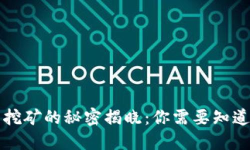 虚拟币挖矿的秘密揭晓：你需要知道的一切