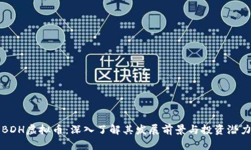 BDH虚拟币：深入了解其发展前景与投资潜力