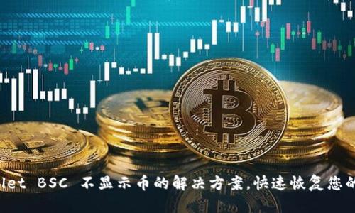 TPWallet BSC 不显示币的解决方案，快速恢复您的资产！