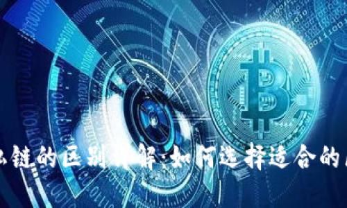 虚拟币公链与私链的区别详解：如何选择适合的区块链解决方案
