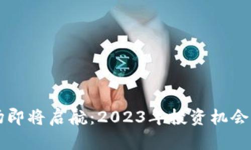 虚拟币市场即将启航：2023年投资机会与风险分析