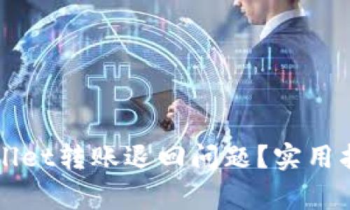 如何处理TPWallet转账退回问题？实用指南与常见问答