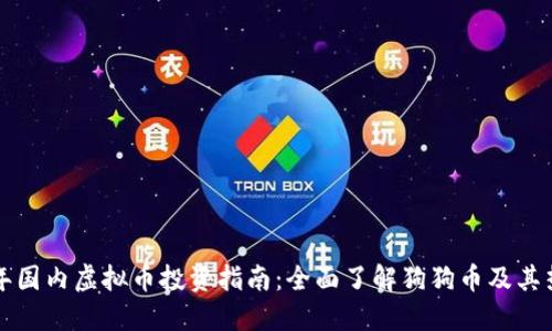 2023 年国内虚拟币投资指南：全面了解狗狗币及其热门应用