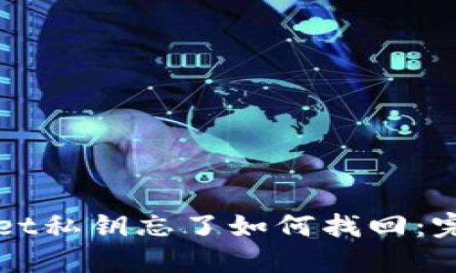 TPWallet私钥忘了如何找回：完整指南
