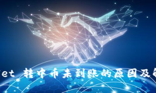 TP Wallet 转中币未到账的原因及解决方案