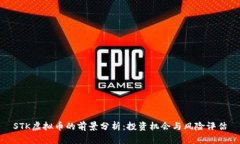 STK虚拟币的前景分析：投资机会与风险评估