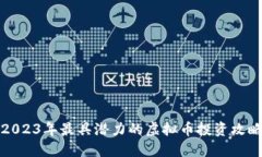 2023年最具潜力的虚拟币投资攻略