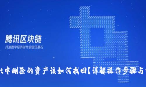 TPWallet中删除的资产该如何找回？详解操作步骤与常见问题