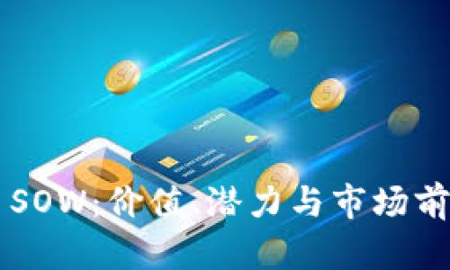 虚拟币SOW：价值、潜力与市场前景解析