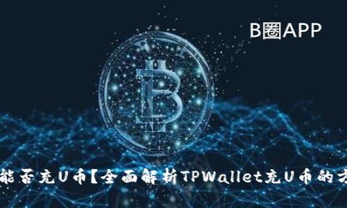 TPWallet能否充U币？全面解析TPWallet充U币的方法与技巧