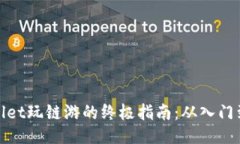 TPWallet玩链游的终极指南：从入门到精通