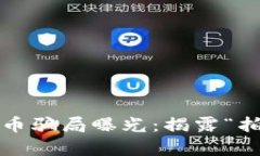 2023年最新虚拟币骗局曝光：揭露“拍一拍”背后