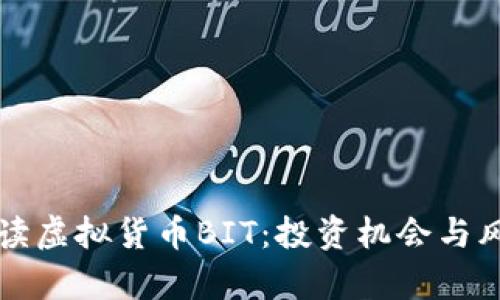 深入解读虚拟货币BIT：投资机会与风险解析