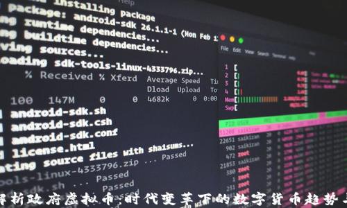 
全面解析政府虚拟币：时代变革下的数字货币趋势与影响