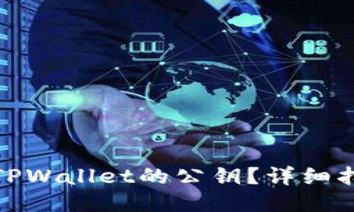 如何查看TPWallet的公钥？详细指南与步骤