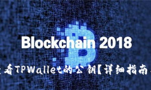 如何查看TPWallet的公钥？详细指南与步骤