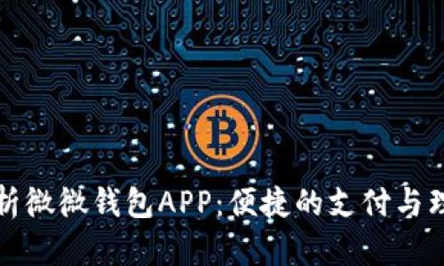 全面解析微微钱包APP：便捷的支付与理财工具
