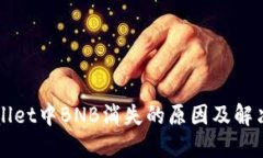 TPWallet中BNB消失的原因及解决方法