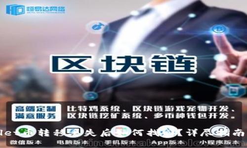 TPWallet币转移丢失后如何找回？详尽指南与解答