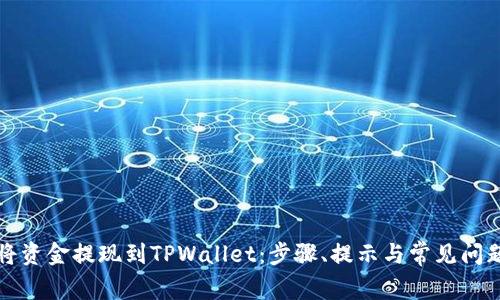 如何将资金提现到TPWallet：步骤、提示与常见问题解答