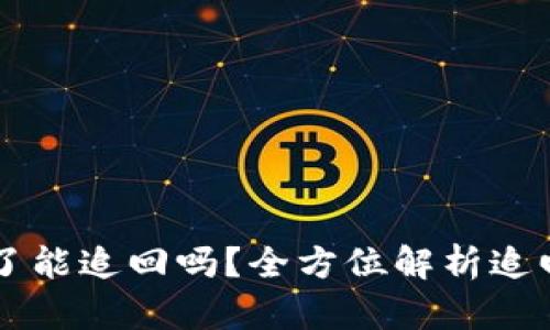 TPWallet被骗钱了能追回吗？全方位解析追回的可能性与途径