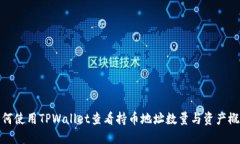 如何使用TPWallet查看持币地址数量与资产概况