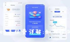 币安提现TPWallet手续费详解：如何降低费用与提现