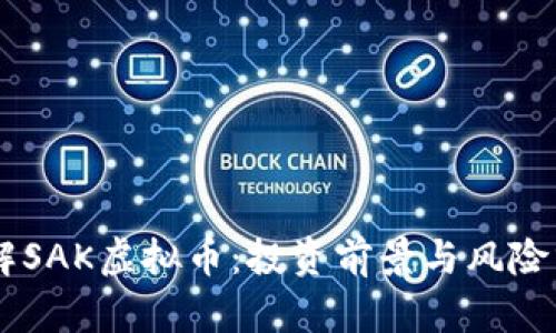 了解SAK虚拟币：投资前景与风险分析