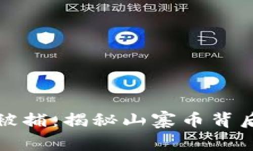 虚拟币山寨币被捕：揭秘山寨币背后的风险与机遇