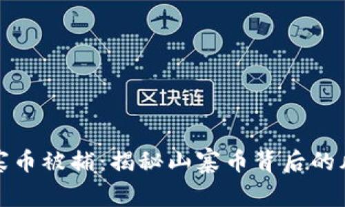 虚拟币山寨币被捕：揭秘山寨币背后的风险与机遇