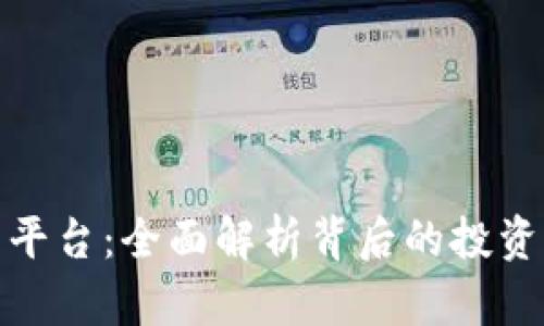 杠杆虚拟币平台：全面解析背后的投资机会与风险