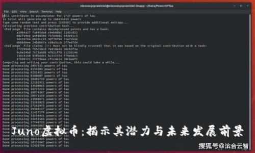 Juno虚拟币：揭示其潜力与未来发展前景