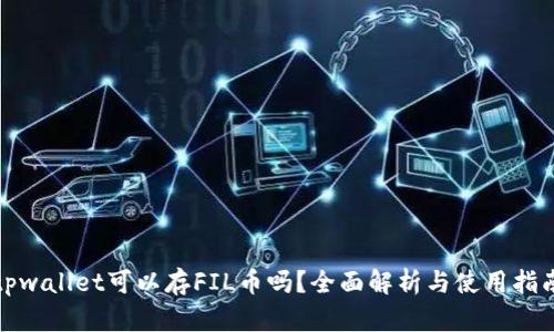 tpwallet可以存FIL币吗？全面解析与使用指南