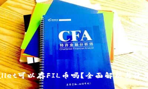 tpwallet可以存FIL币吗？全面解析与使用指南
