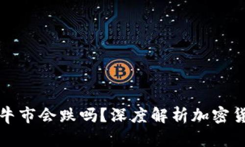 虚拟币下一波牛市会跌吗？深度解析加密货币的未来趋势
