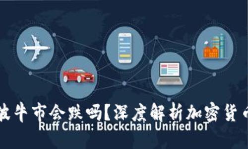 虚拟币下一波牛市会跌吗？深度解析加密货币的未来趋势