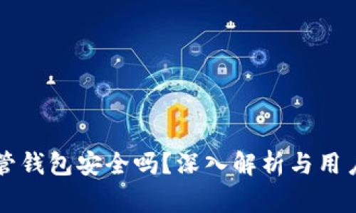 虚拟币托管钱包安全吗？深入解析与用户注意事项