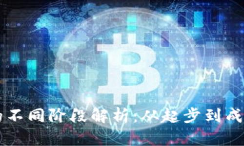 虚拟币发展的不同阶段解析：从起步到成熟的全面剖析