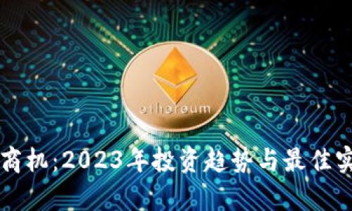 虚拟币商机：2023年投资趋势与最佳实践分析